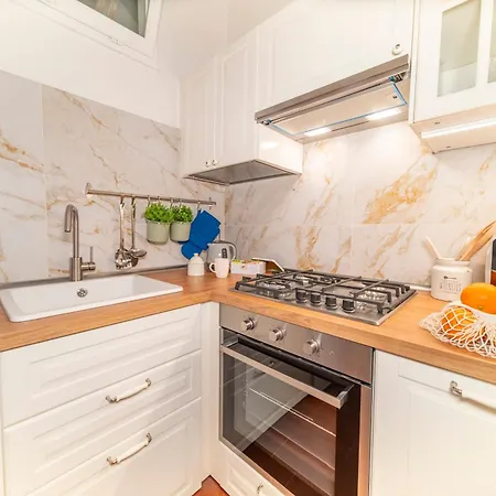 Loving Santo Spirito Apartment Florence