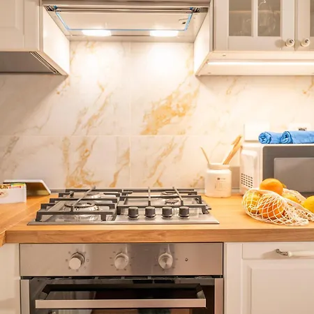 Apartment Loving Santo Spirito Florence